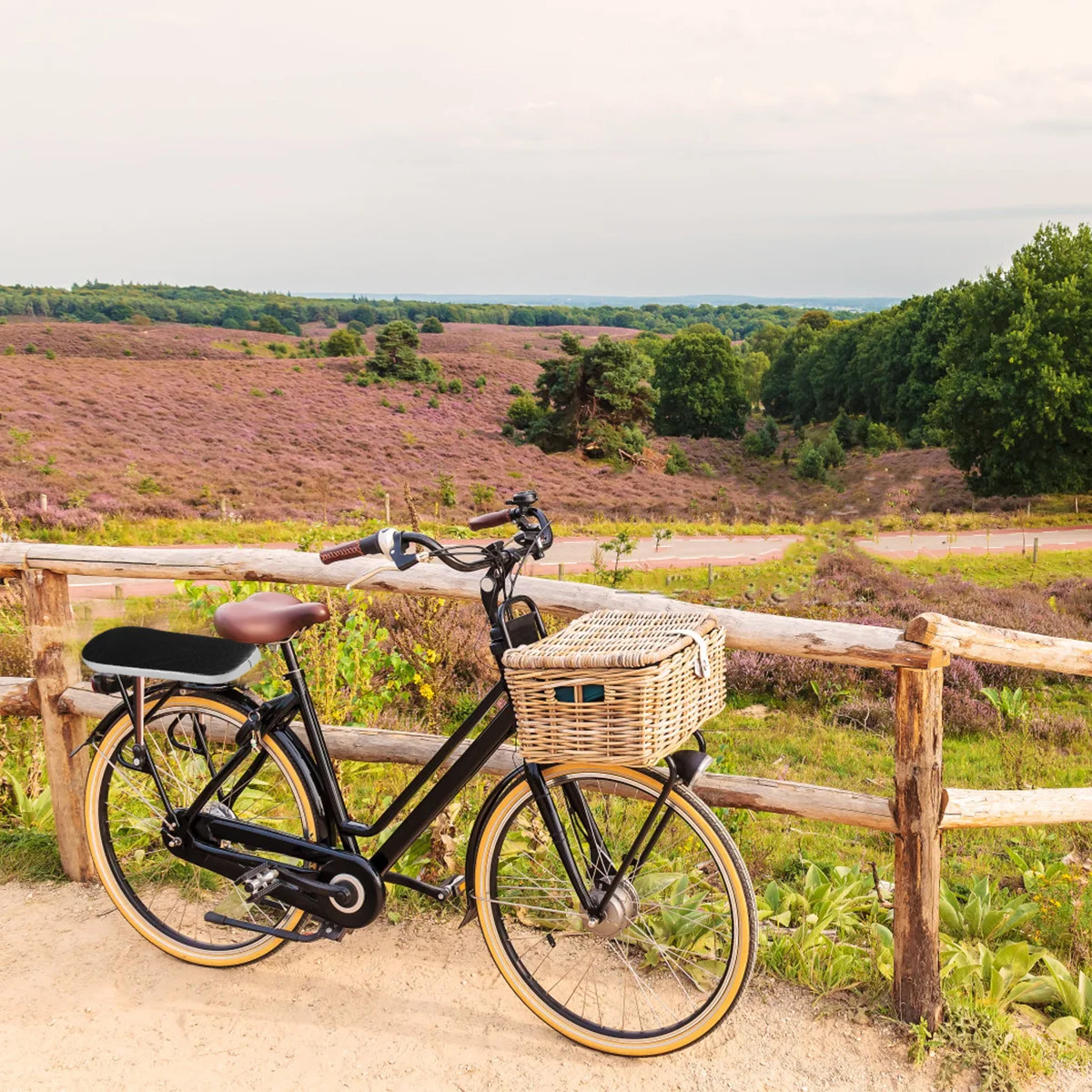 2pcs Bike Rear Seat Cushion Thicken Lightweight Waterproof Wooden Board Interior Heavy Duty Double Strap Buckle For
2pcs Bike Rear Seat Cushion Thicken Lightweight Waterproof Wooden Board Interior Heavy Duty Double Strap Buckle For