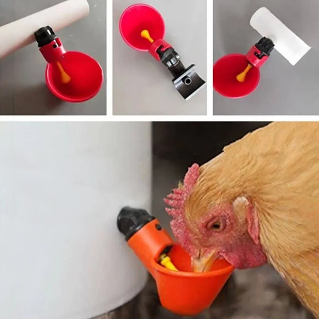 Accessories Chicken Drinking Bowl Poultry Drinker Chicken Crickets Drinking Cup Holder Animal Automatic Parrots
Accessories Chicken Drinking Bowl Poultry Drinker Chicken Crickets Drinking Cup Holder Animal Automatic Parrots