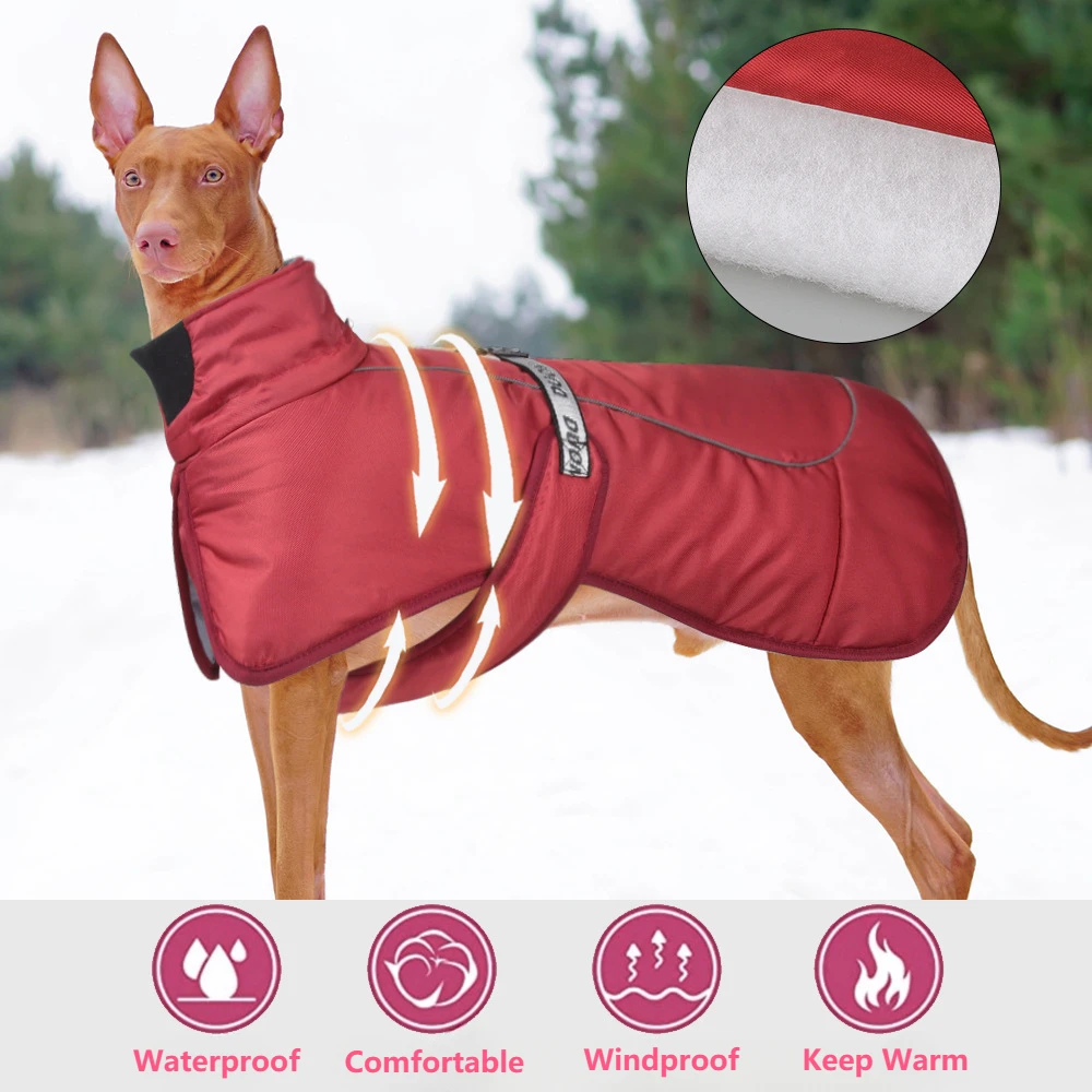 Thick Cotton-Padded Clothes for Dogs, Reflective, Warm, Large, Pet, Autumn, Winter
Thick Cotton-Padded Clothes for Dogs, Reflective, Warm, Large, Pet, Autumn, Winter