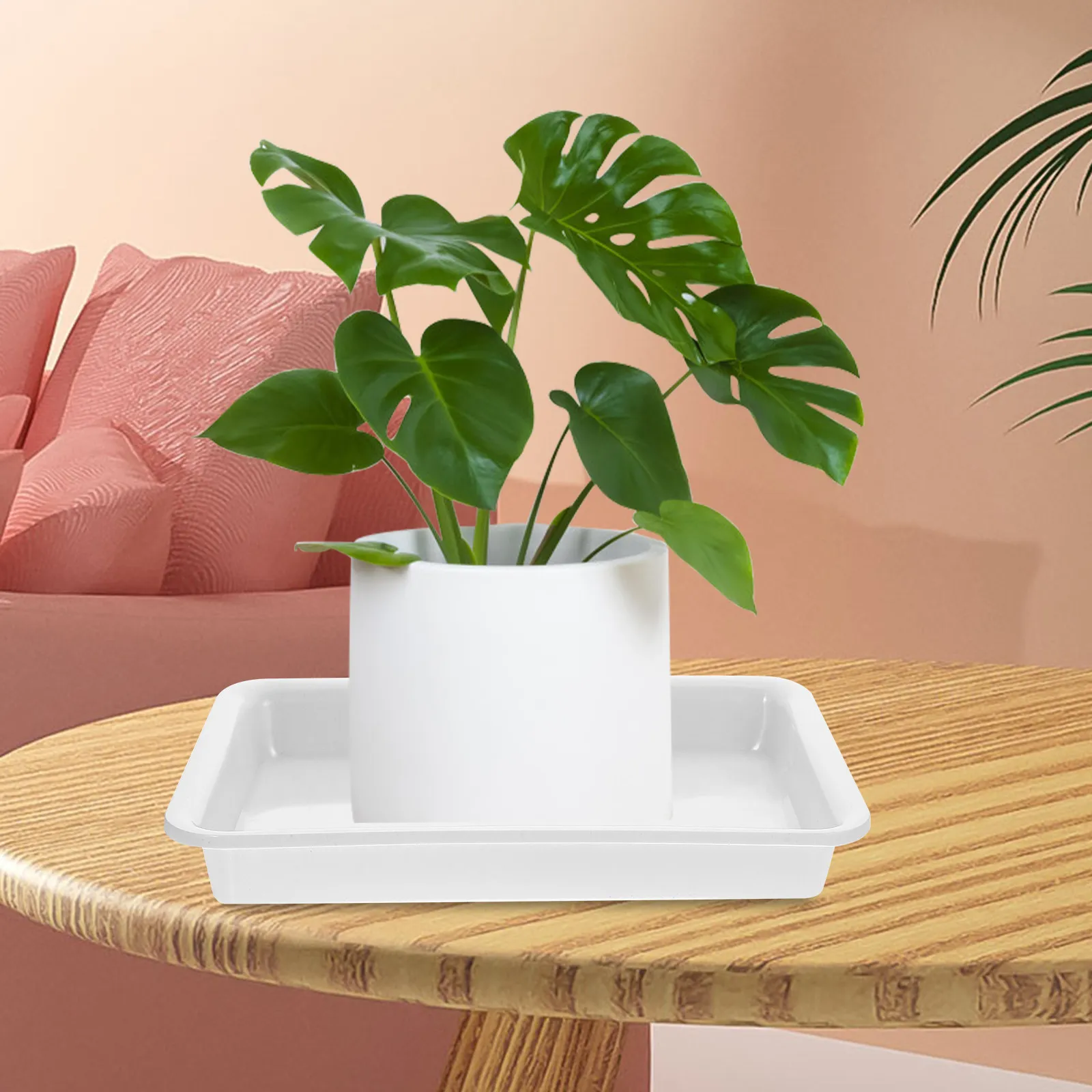 Набор из 6 многоразовых прямоугольных поддонов для цветочных горшков, подставок для бонсай, водонепроницаемых защитных поддонов для пола
Набор из 6 многоразовых прямоугольных поддонов для цветочных горшков, подставок для бонсай, водонепроницаемых защитных поддонов для пола