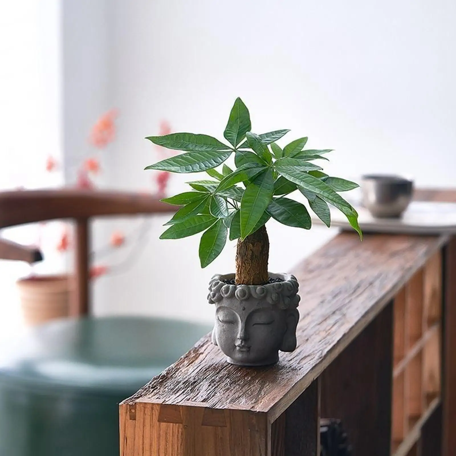 Buddha Head Flower Pot,Outdoor Bonsai Ornaments Indoor Plants Gift Flower Vase Container Plant Pot for Home Table Centerpiece
Buddha Head Flower Pot,Outdoor Bonsai Ornaments Indoor Plants Gift Flower Vase Container Plant Pot for Home Table Centerpiece