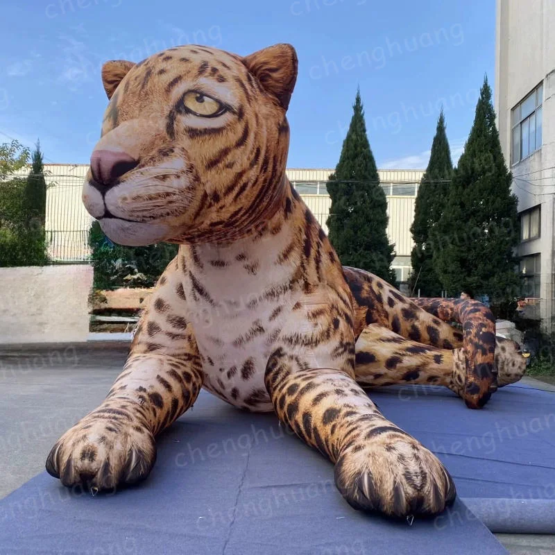 Надувной леопард, модель животного с вентилятором, декоративный реквизит для торговых центров и зоопарков на открытом воздухе
Надувной леопард, модель животного с вентилятором, декоративный реквизит для торговых центров и зоопарков на открытом воздухе