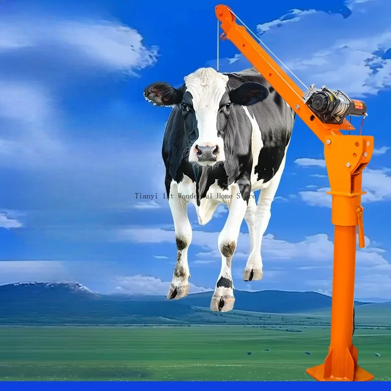Outdoor Construction Crane Portable Handling Warehousing Transportation Equipment Crane Heavy Duty Kren MH40QZJ
Outdoor Construction Crane Portable Handling Warehousing Transportation Equipment Crane Heavy Duty Kren MH40QZJ