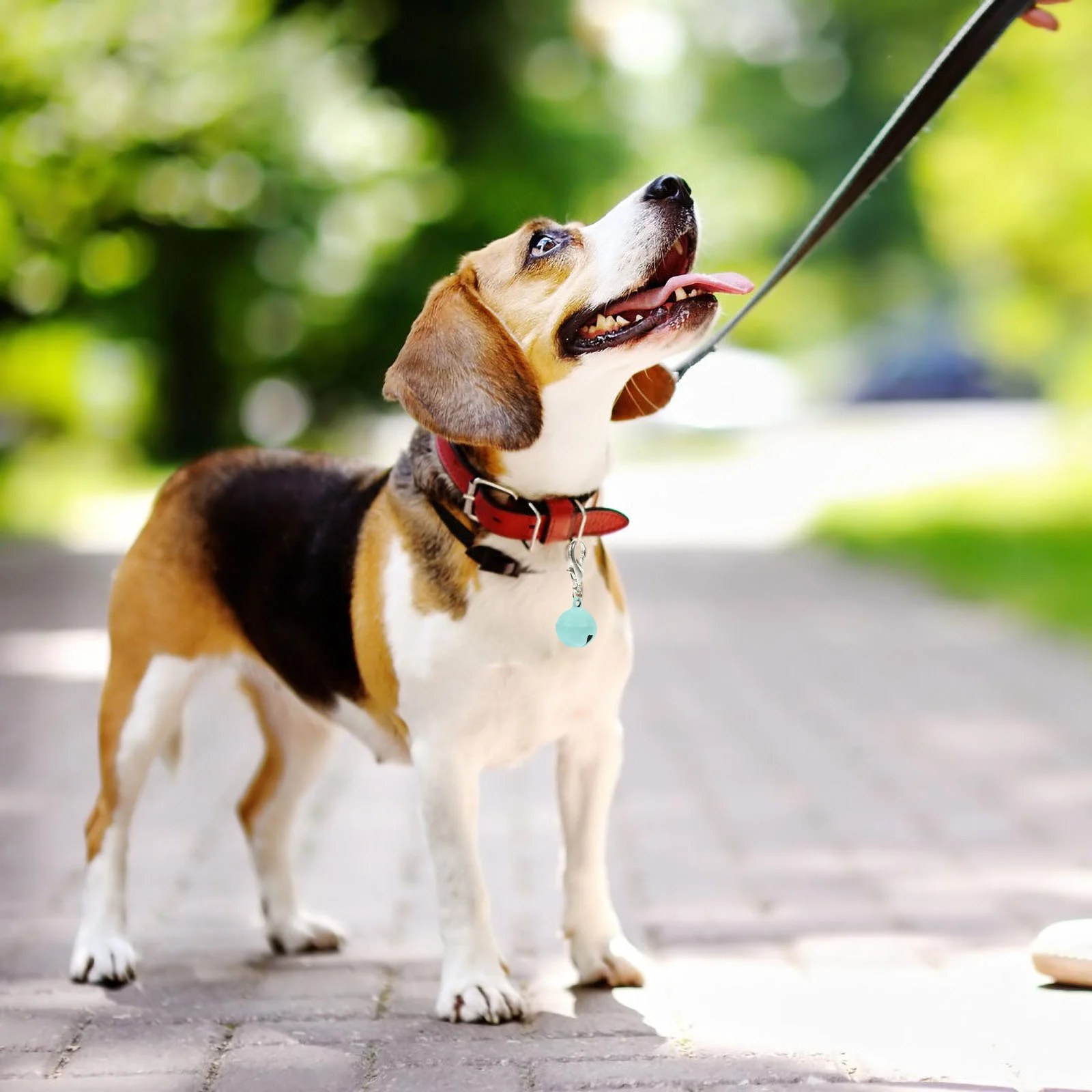 10Pcs Delicate Pet Collar Bells Multi-Function Metal Bells for Cats Dogs Holiday Home Decor Sweet Sound Kitten Puppy Collar
10Pcs Delicate Pet Collar Bells Multi-Function Metal Bells for Cats Dogs Holiday Home Decor Sweet Sound Kitten Puppy Collar