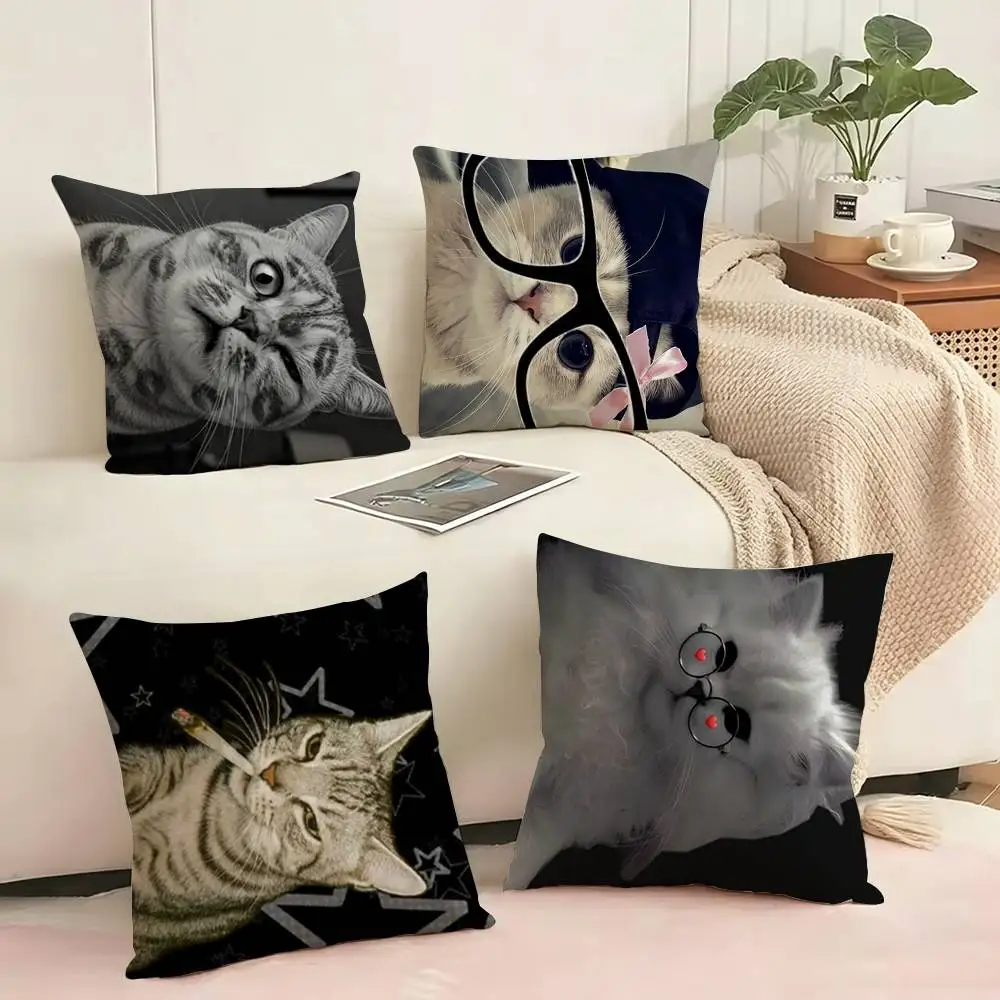Fun C-Cat Meme Square Double-Sided printed Pillow Case Bedroom Bedside Pillow Sofa Cushion Cover Gift
Fun C-Cat Meme Square Double-Sided printed Pillow Case Bedroom Bedside Pillow Sofa Cushion Cover Gift