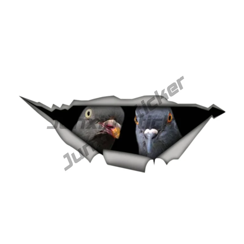 Car Sticker Pigeon Waterproof Vinyl Decal Car Accessories Pegatinas Para Coche DIY Car Styling
Car Sticker Pigeon Waterproof Vinyl Decal Car Accessories Pegatinas Para Coche DIY Car Styling