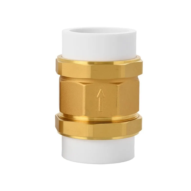 Brass Vertical Check Valve PPR Threaded One Way Valve Water Pipeline Backflow Preventer Tool
Brass Vertical Check Valve PPR Threaded One Way Valve Water Pipeline Backflow Preventer Tool