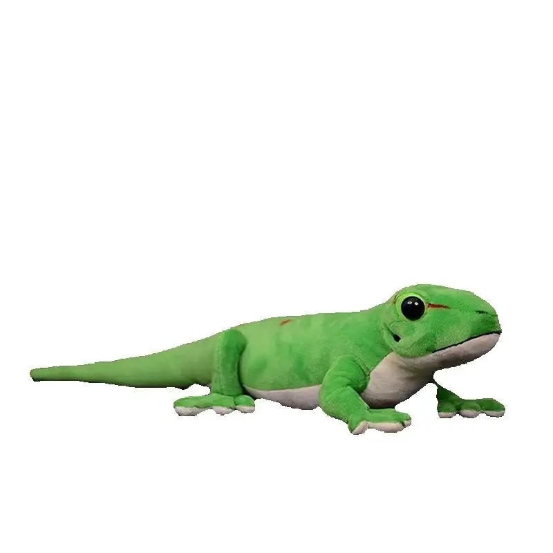Cute Falkland Islands Hemitheconyx Caudicinctus Soft Realistic Simulation Animal Model Gift Doll Stuffed Phelsuma Plush Toy
Cute Falkland Islands Hemitheconyx Caudicinctus Soft Realistic Simulation Animal Model Gift Doll Stuffed Phelsuma Plush Toy