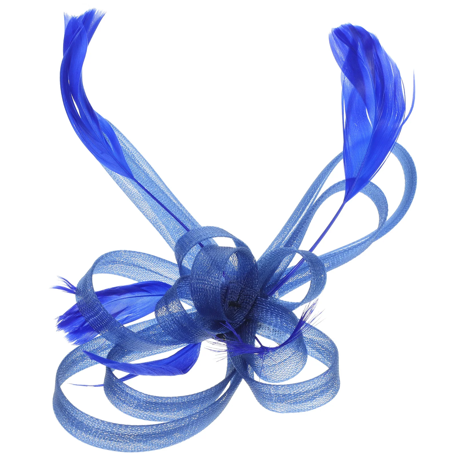 Blue Mesh Hair Clip Wedding Fascinator Headdress Pin for Girls Ladies Bridal Party Banquet Accessories
Blue Mesh Hair Clip Wedding Fascinator Headdress Pin for Girls Ladies Bridal Party Banquet Accessories