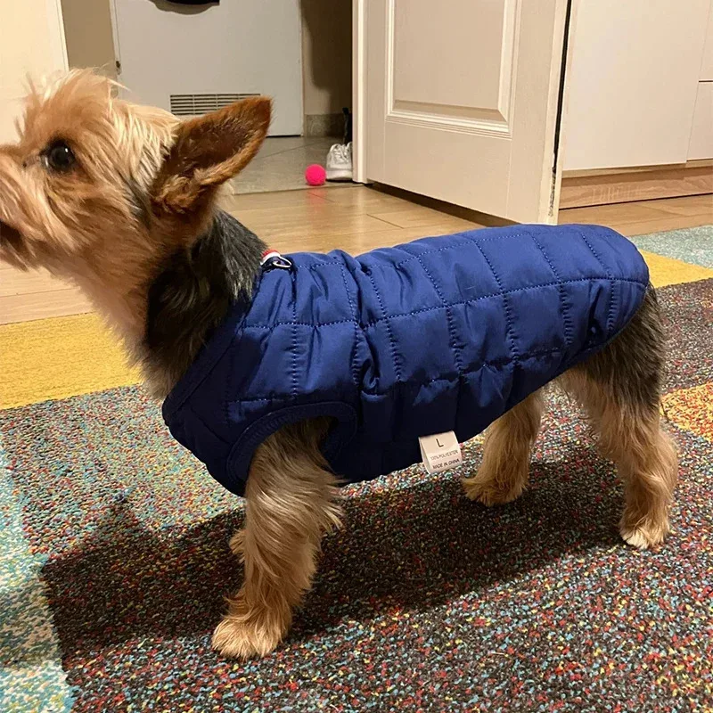 Warm Fleece Pet Winter Jacket for Small Medium Dogs Cats Puppy Kittens French Bulldog Chihuahua Cozy Costume Sweater Cold
Warm Fleece Pet Winter Jacket for Small Medium Dogs Cats Puppy Kittens French Bulldog Chihuahua Cozy Costume Sweater Cold