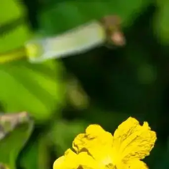 4S4P 14.8V 14Ah Lithium Battery Pack 18650 LED Night Fishing Light Heater Miner's Light Amplifier Battery BMS + Charger
4S4P 14.8V 14Ah Lithium Battery Pack 18650 LED Night Fishing Light Heater Miner's Light Amplifier Battery BMS + Charger