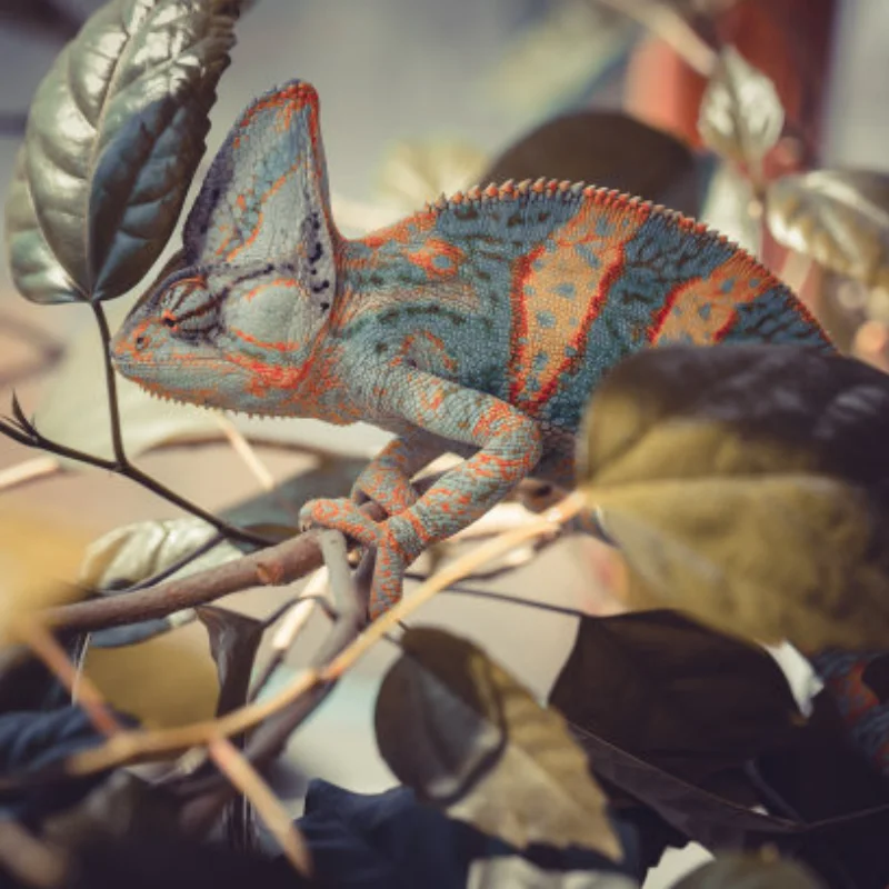 Подводное подруливающее устройство, 16 В, 300 Вт, бесщеточный двигатель, 40 А, ESC для радиоуправляемой приманки, буксирной лодки, гнездо, корабля, подводной лодки, робот ROV
Подводное подруливающее устройство, 16 В, 300 Вт, бесщеточный двигатель, 40 А, ESC для радиоуправляемой приманки, буксирной лодки, гнездо, корабля, подводной лодки, робот ROV