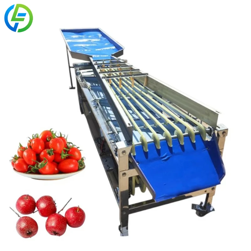 Customized Fruit Washing & Sorting Machine Small Size Fruit Sorting Machine Fruit Grading Calibration Size Machine
Customized Fruit Washing & Sorting Machine Small Size Fruit Sorting Machine Fruit Grading Calibration Size Machine