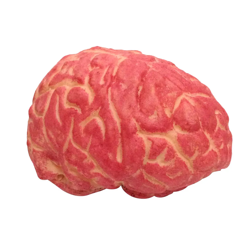 2Pcs Simulation Prop Bloody Halloween Decor Creepy Brain Party Horrible Heart Prop Scary Realistic Toys
2Pcs Simulation Prop Bloody Halloween Decor Creepy Brain Party Horrible Heart Prop Scary Realistic Toys