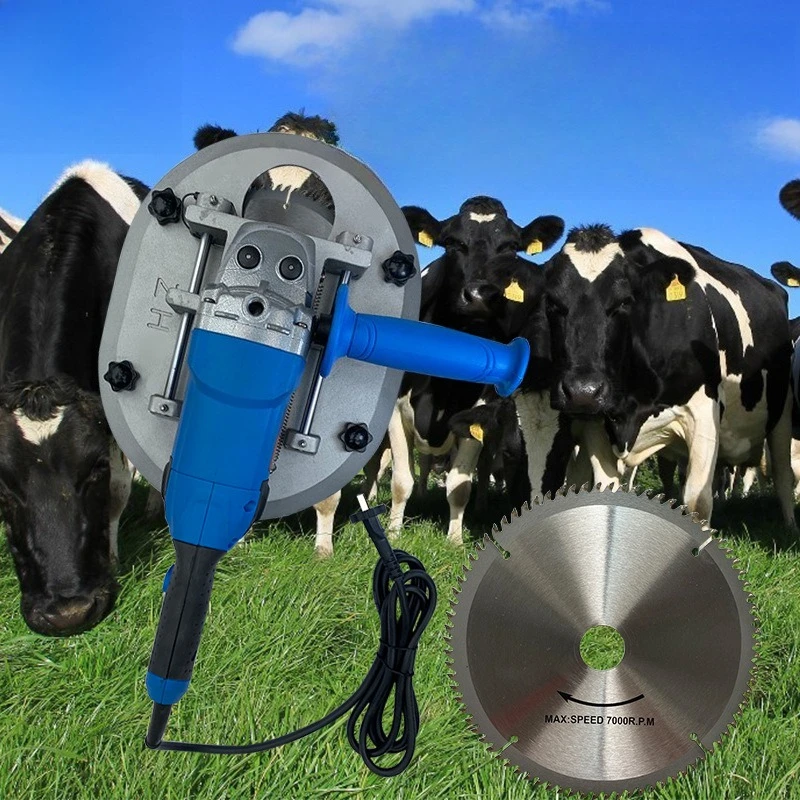 Electric bull horn remover, horn repair tool, electric horn saw, quick remover
Electric bull horn remover, horn repair tool, electric horn saw, quick remover