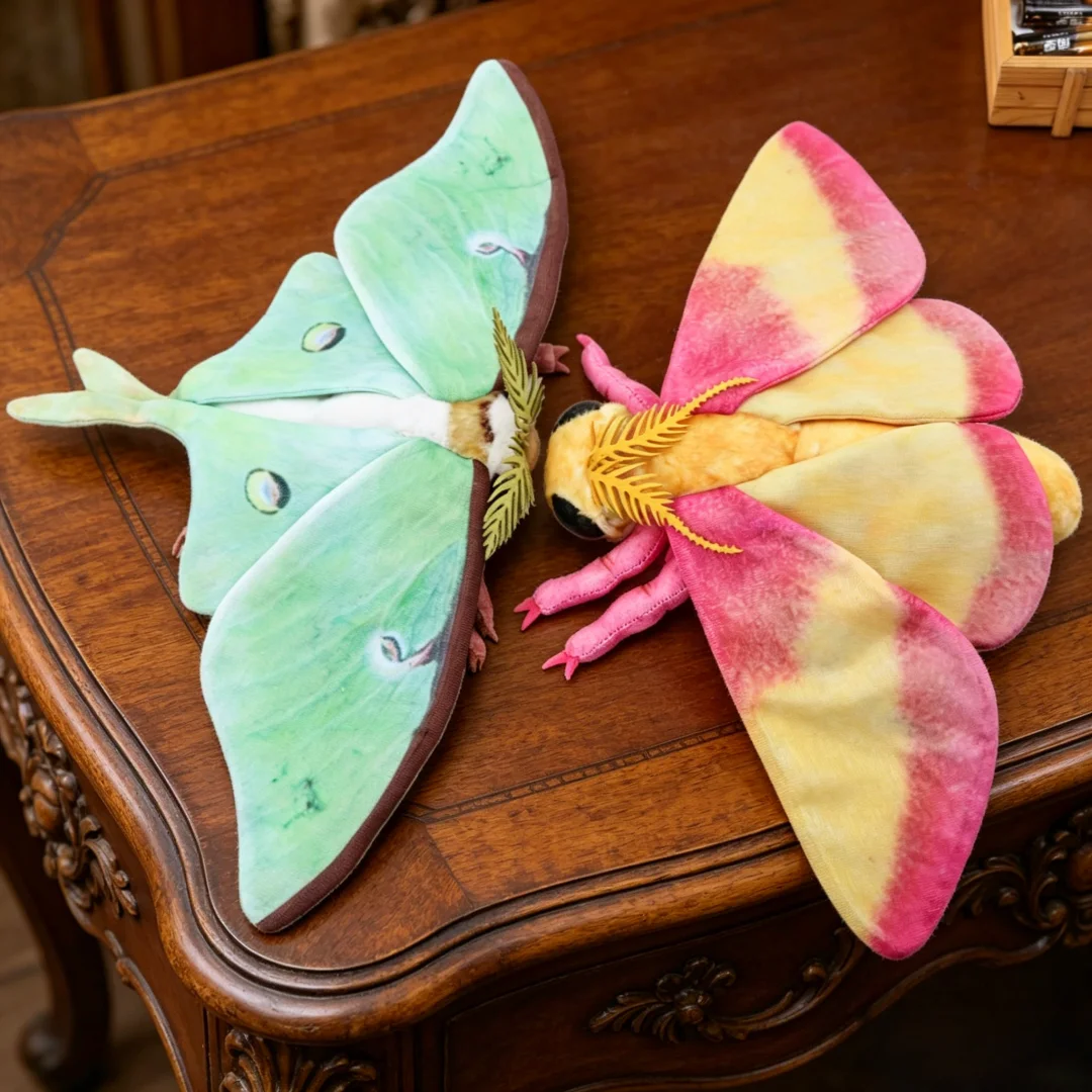 Cute Luna Moth and Rosy Maple Moth Plush Toys Soft Realistic Stuffed Animal Plushie for Kids Insect Lovers Birthday Xmas Gift
Cute Luna Moth and Rosy Maple Moth Plush Toys Soft Realistic Stuffed Animal Plushie for Kids Insect Lovers Birthday Xmas Gift