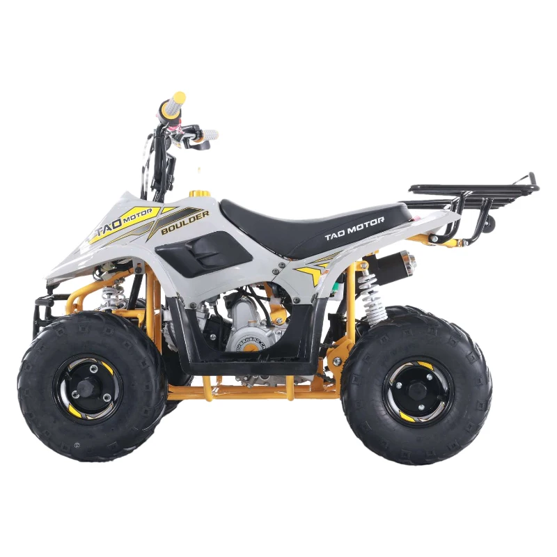 Hot Selling Motor New Design Kids ATVs 110cc ATV for Sale
Hot Selling Motor New Design Kids ATVs 110cc ATV for Sale