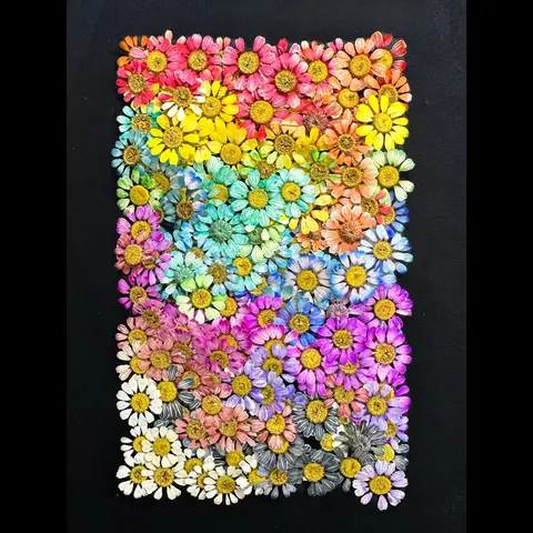 12pcs/1-2cm,Nature Chamomile Mini Real Dry Flower Handmade Photo Frame DIY Material Makeup Jewelry Epoxy Nail Art Flower Petals