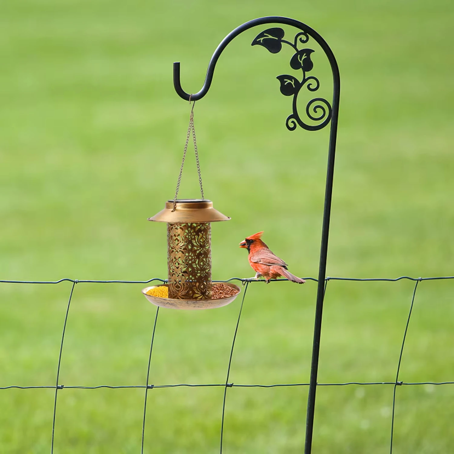 Solar Bird Feeders with Light Metal Wild Bird Feeder Waterproof Garden Yard Decorative Solar Lantern Sturdy Chains and Hook
Solar Bird Feeders with Light Metal Wild Bird Feeder Waterproof Garden Yard Decorative Solar Lantern Sturdy Chains and Hook