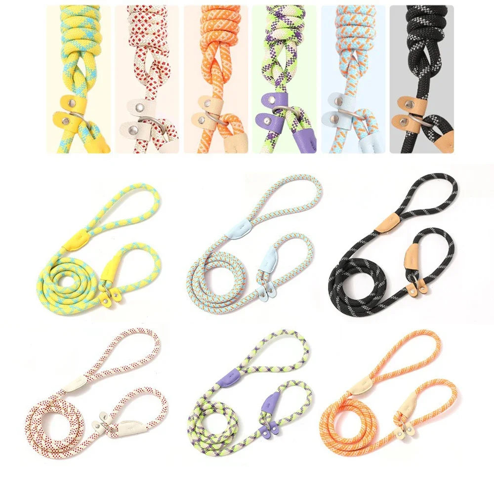 Adjustable Collar Harness Dog Leash Nylon Pet Lead Leash Dog Harness Durable Rope Belt Lightweight Dog Accessories Cat Collar
Adjustable Collar Harness Dog Leash Nylon Pet Lead Leash Dog Harness Durable Rope Belt Lightweight Dog Accessories Cat Collar