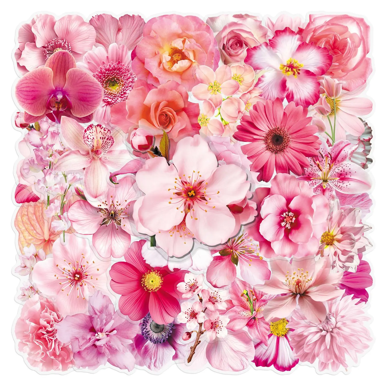 50PCS Transparent Pink Flower Stickers Realistic Floral PET Stickers for Scrapbook Journal Phone Case Laptop DIY Craft
50PCS Transparent Pink Flower Stickers Realistic Floral PET Stickers for Scrapbook Journal Phone Case Laptop DIY Craft
