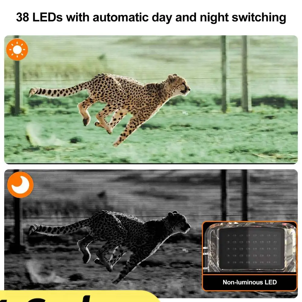 1080P Night Vision Trail Hunting Camera 12MP Wild Photo Trap 0.8s Trigger Motion Activated Trail Cam(Battery TF Card Not Includ)
1080P Night Vision Trail Hunting Camera 12MP Wild Photo Trap 0.8s Trigger Motion Activated Trail Cam(Battery TF Card Not Includ)