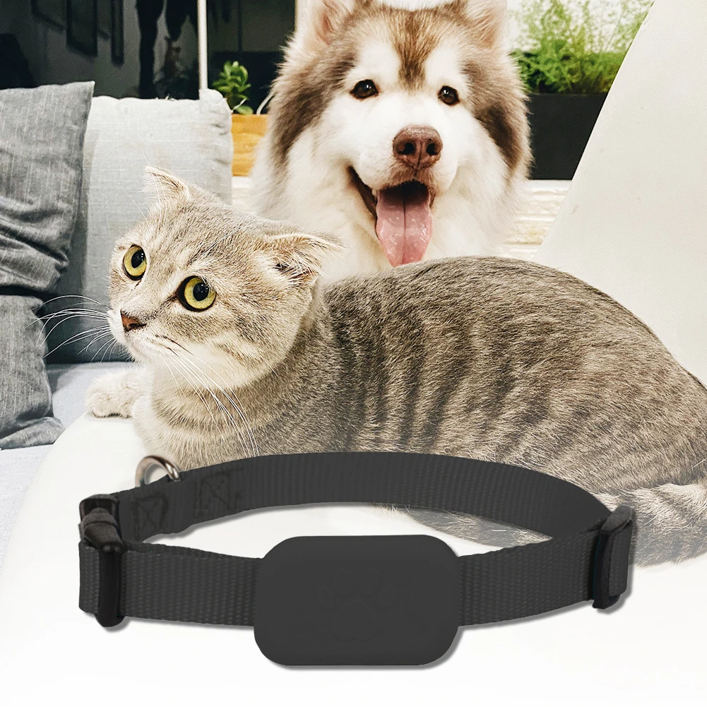For iOS Animal Tracking Movement Alert Collar Battery Operated Pet Anti Lost Tracker Adjustable for Small Medium Large Dogs
For iOS Animal Tracking Movement Alert Collar Battery Operated Pet Anti Lost Tracker Adjustable for Small Medium Large Dogs
