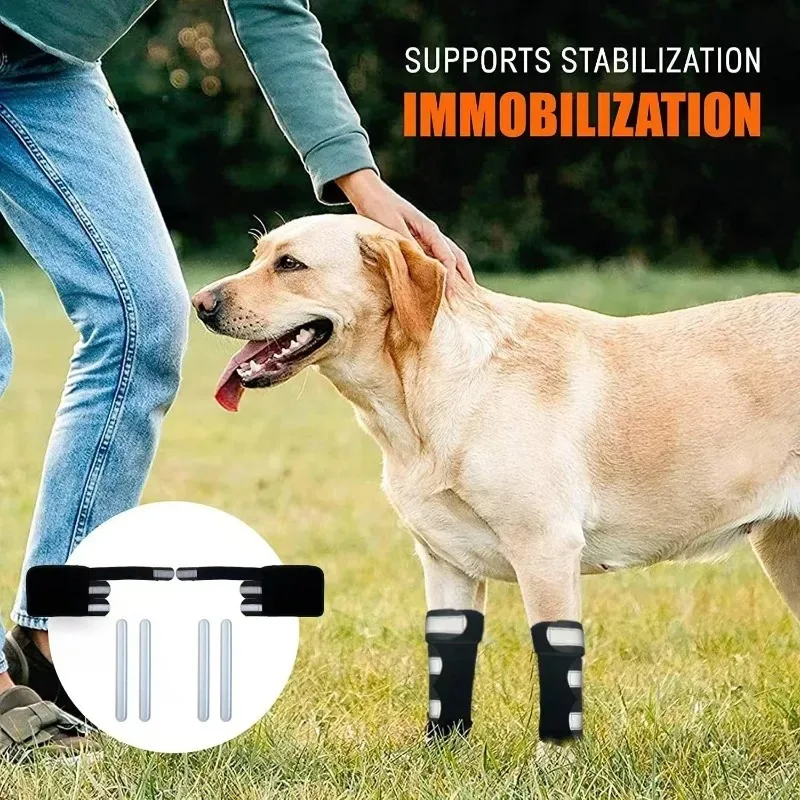 Pet Dog Knee Support Leg Brace Reflective Strips Joint Protection Senior Active Pets Comfortable Leg Guards Walking Running
Pet Dog Knee Support Leg Brace Reflective Strips Joint Protection Senior Active Pets Comfortable Leg Guards Walking Running