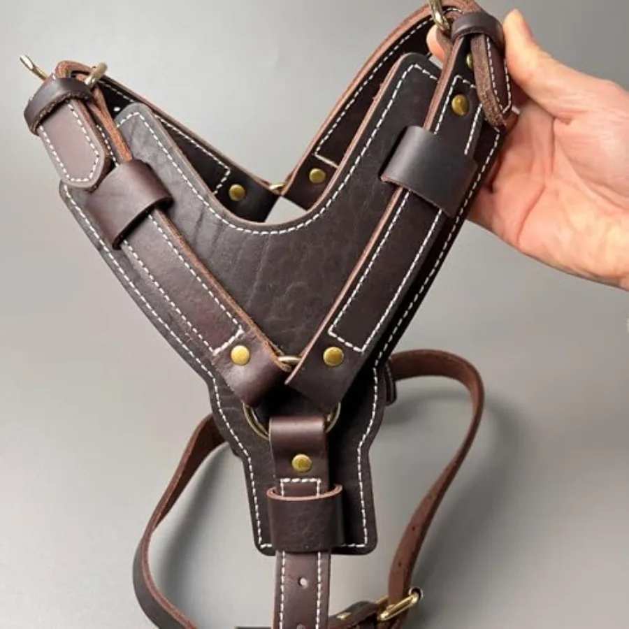 Luxury Leather Dog Harness, Handmade Y-Shaped Vest Style Heavy Duty Dog Harness, Adjustable Neck and Chest Anti Pull, for Mediu
Luxury Leather Dog Harness, Handmade Y-Shaped Vest Style Heavy Duty Dog Harness, Adjustable Neck and Chest Anti Pull, for Mediu