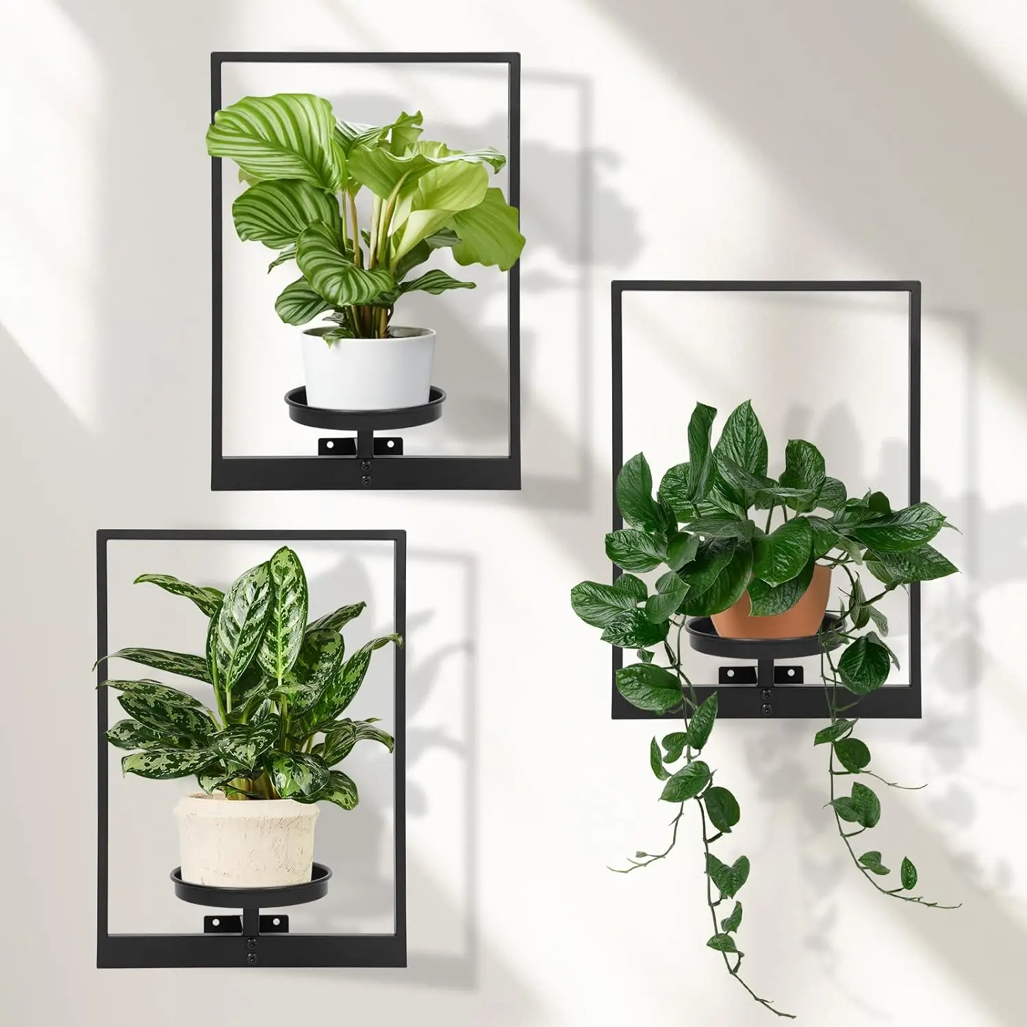 Wall Planter Hanger with Shelves for Living Room, Entryway, Window Plant Display Stand Indoor/Outdoor Entryway
Wall Planter Hanger with Shelves for Living Room, Entryway, Window Plant Display Stand Indoor/Outdoor Entryway