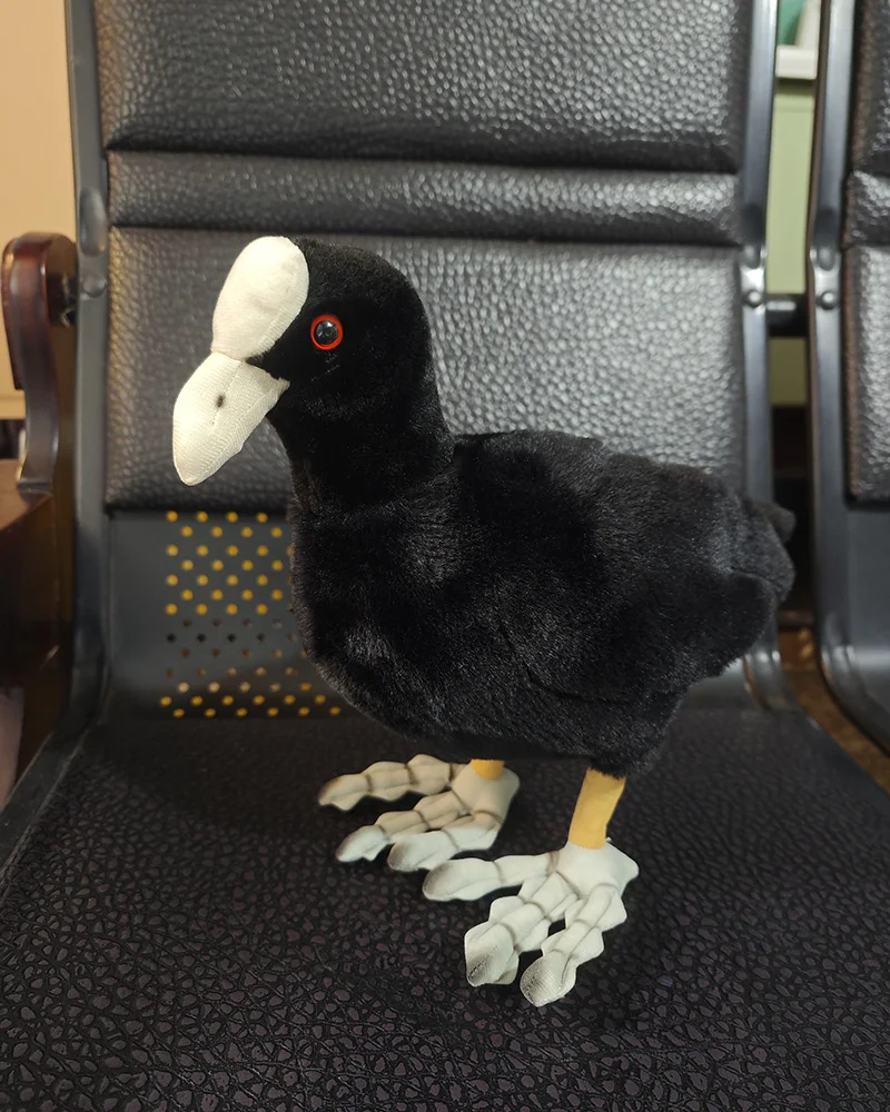 Eurasian Coot Plush Toy Realistic Fulica atra Plushie Lifelike Mud Hen Stuffed Animal Water Rail Simulation Doll Toy Gift
Eurasian Coot Plush Toy Realistic Fulica atra Plushie Lifelike Mud Hen Stuffed Animal Water Rail Simulation Doll Toy Gift