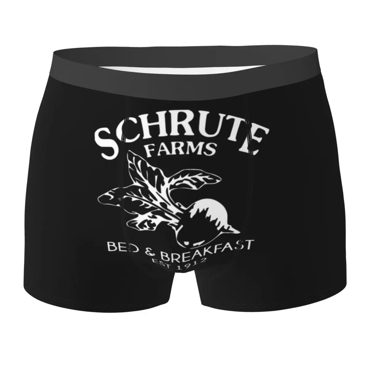 Boxer Underpants Shorts Schrute Farms Bed And Breakfast Classic Panties Men Breathable Underwear for Homme Man Boyfriend Gifts
Boxer Underpants Shorts Schrute Farms Bed And Breakfast Classic Panties Men Breathable Underwear for Homme Man Boyfriend Gifts