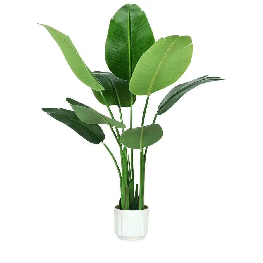 of Paradise Plant Artificial 4ft,Faux Plants Indoor Tall with 8 Trunks The Perfect Indoor Silk Floor Plant for Home Decor in Liv
of Paradise Plant Artificial 4ft,Faux Plants Indoor Tall with 8 Trunks The Perfect Indoor Silk Floor Plant for Home Decor in Liv