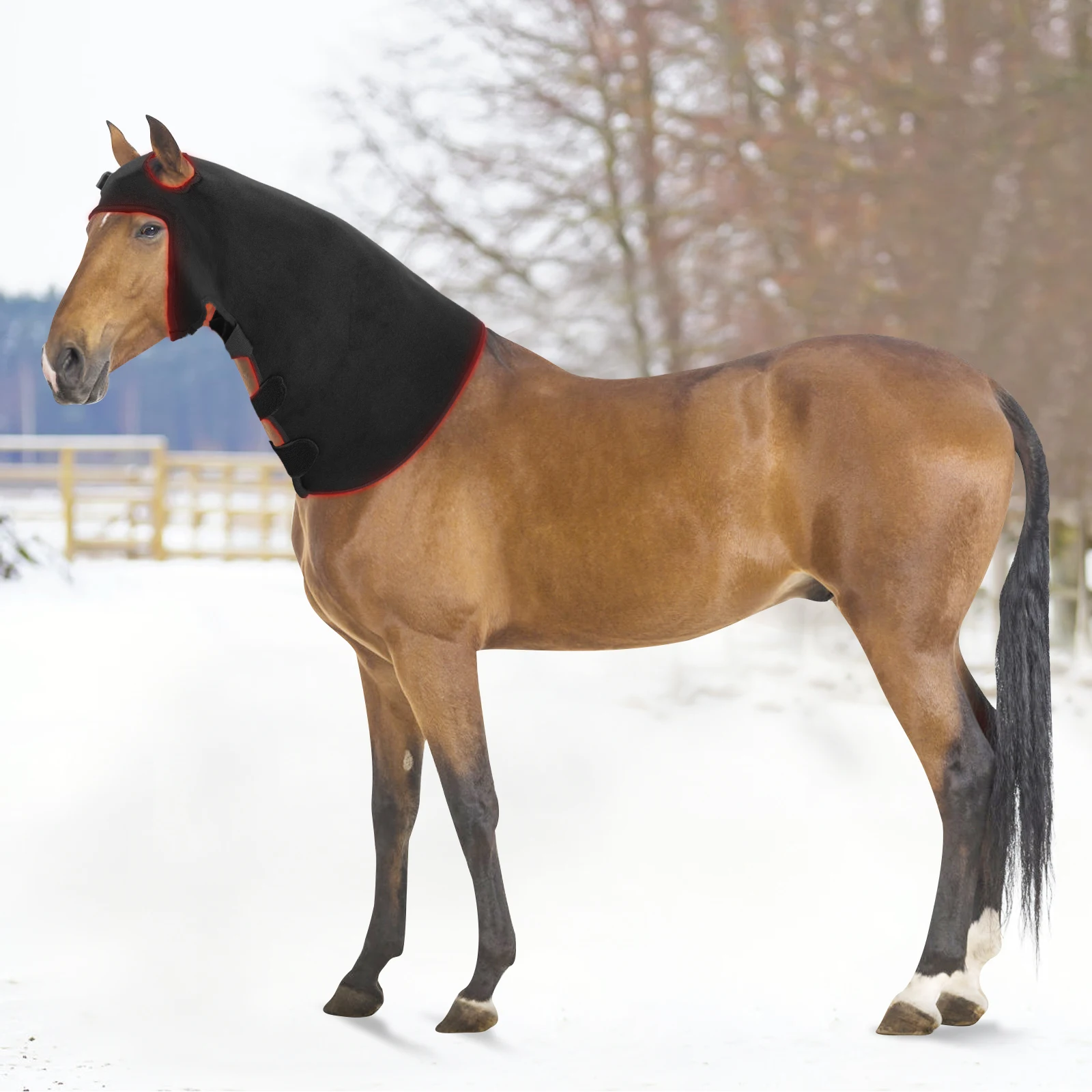 Anredar 850nm 660nm Near Infrared Pain Therapy Light Body Wrap For Horse Health Care Poll
Anredar 850nm 660nm Near Infrared Pain Therapy Light Body Wrap For Horse Health Care Poll