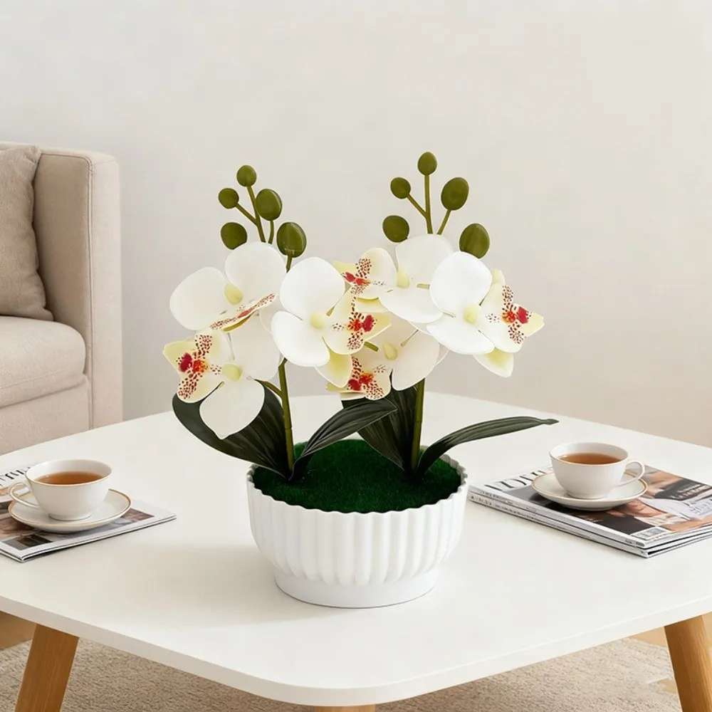 Multi-Bloom Simulated Butterfly Orchid DIY White Flower Pot Artificial Orchid Bonsai Faux Flowers Artificial Faux Plants
Multi-Bloom Simulated Butterfly Orchid DIY White Flower Pot Artificial Orchid Bonsai Faux Flowers Artificial Faux Plants
