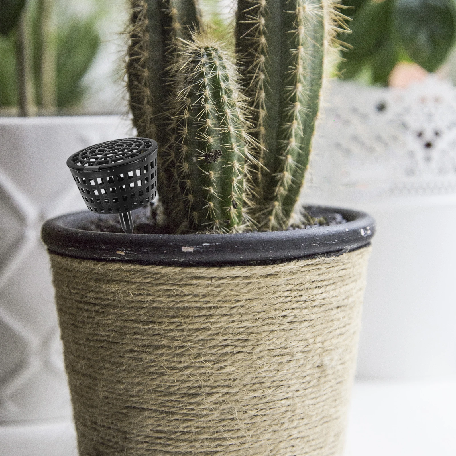 10 Pcs Box Plastic Mesh Lid Nursery Garden Pot Baskets Plants Flower Bonsai Gardening Supplies Container
10 Pcs Box Plastic Mesh Lid Nursery Garden Pot Baskets Plants Flower Bonsai Gardening Supplies Container
