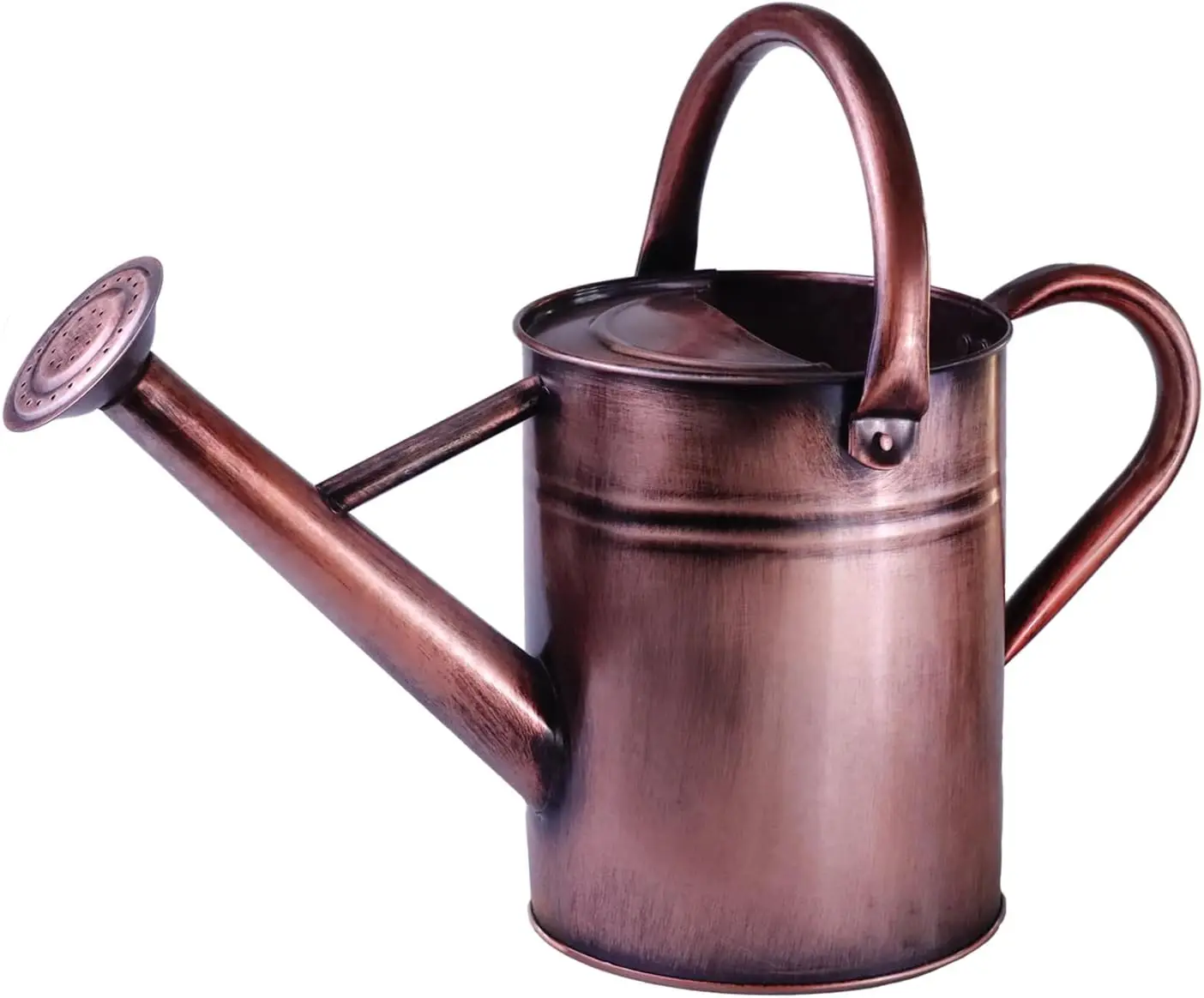 1 Gallon Metal Watering Can for Outdoor Plants, Galvanized Steel with Removable Spout for Garden, Flowers, Houseplants
1 Gallon Metal Watering Can for Outdoor Plants, Galvanized Steel with Removable Spout for Garden, Flowers, Houseplants