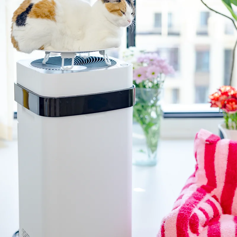 Airdog X5 Плазменная очистка Крытый лучший очиститель воздуха для домашних животных
Airdog X5 Плазменная очистка Крытый лучший очиститель воздуха для домашних животных