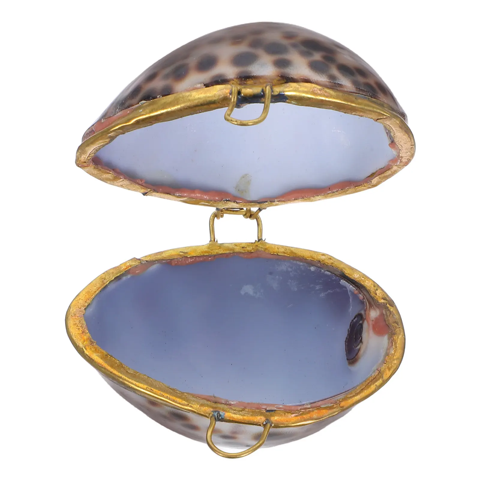 1Pcs Shell Jewelry Box Sea Style Creative Ring Earring Case Perfect for Proposal Engagement Wedding Birthday Anniversary Jewelry
1Pcs Shell Jewelry Box Sea Style Creative Ring Earring Case Perfect for Proposal Engagement Wedding Birthday Anniversary Jewelry