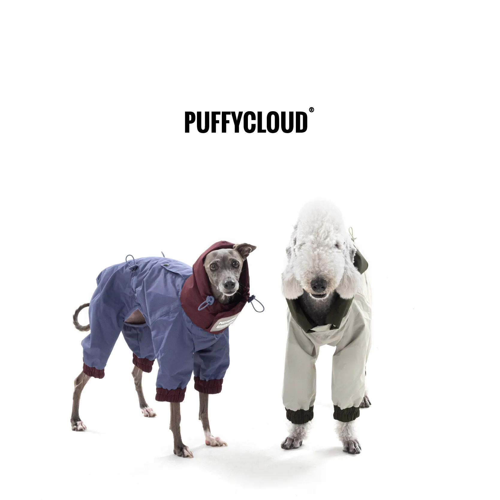 Весенний водонепроницаемый легкий дождевик полного покрытия фиолетового цвета для Белингтон-уиппетов, 4-х лапная складная куртка для грейхаундов для прогулок на улице
Весенний водонепроницаемый легкий дождевик полного покрытия фиолетового цвета для Белингтон-уиппетов, 4-х лапная складная куртка для грейхаундов для прогулок на улице