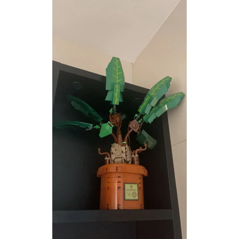 new 2025 Popular Movie Compatible 76433 series for Mandrake plant building blocks Model office building blocks Home Decoration
new 2025 Popular Movie Compatible 76433 series for Mandrake plant building blocks Model office building blocks Home Decoration