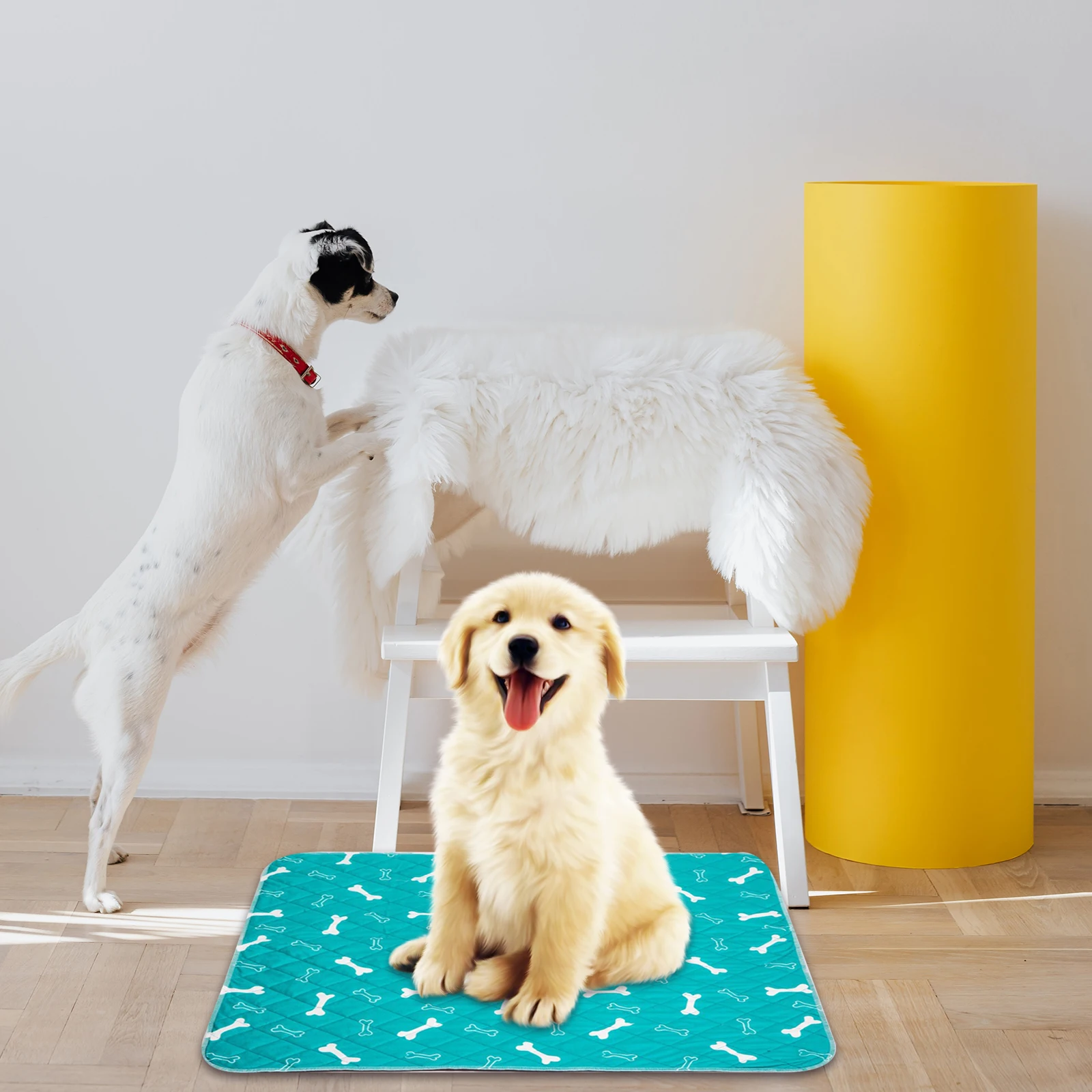 Urine Pad Pee Mats for Dogs Pads Pet Toilet Training Extra Large Potty Supplies
Urine Pad Pee Mats for Dogs Pads Pet Toilet Training Extra Large Potty Supplies