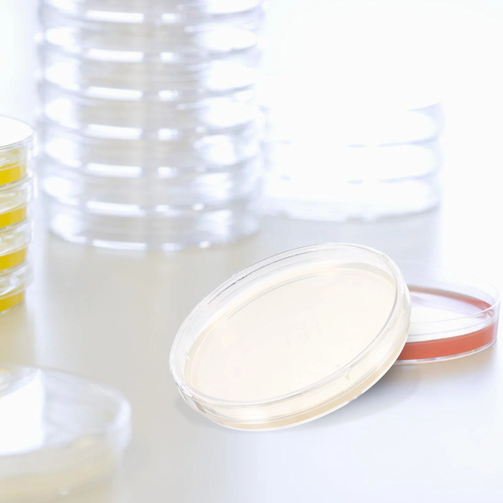 10Pcs Agar Plates for Laboratory Portable Prepoured Petri Dishes Bacteria Experiment Tool Lab Agar Plate
10Pcs Agar Plates for Laboratory Portable Prepoured Petri Dishes Bacteria Experiment Tool Lab Agar Plate