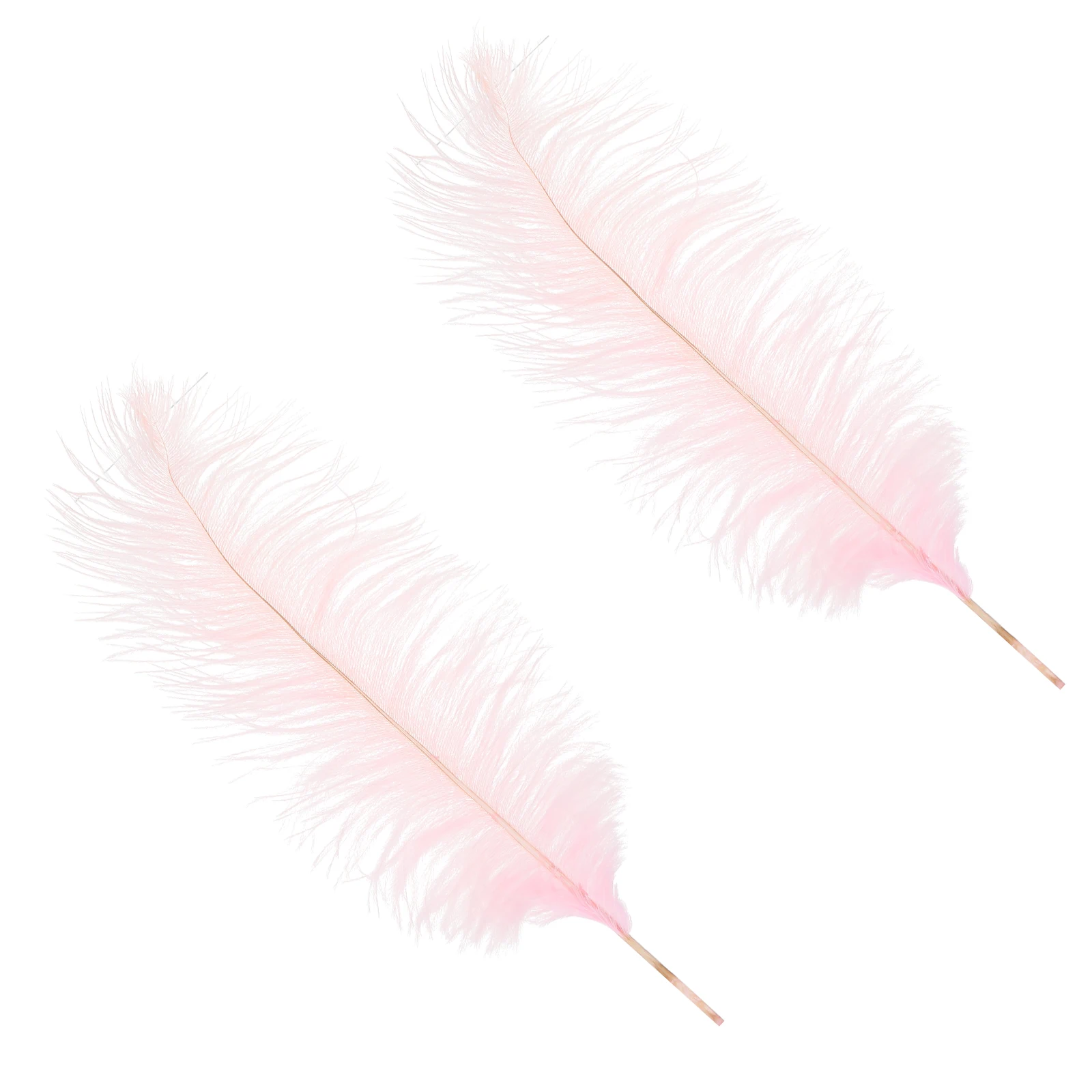 2 pcs Dyed Ostrich for Wedding Decor Romantic Photo Prop Party Decorative Supply Lightweight Portable Storage
2 pcs Dyed Ostrich for Wedding Decor Romantic Photo Prop Party Decorative Supply Lightweight Portable Storage