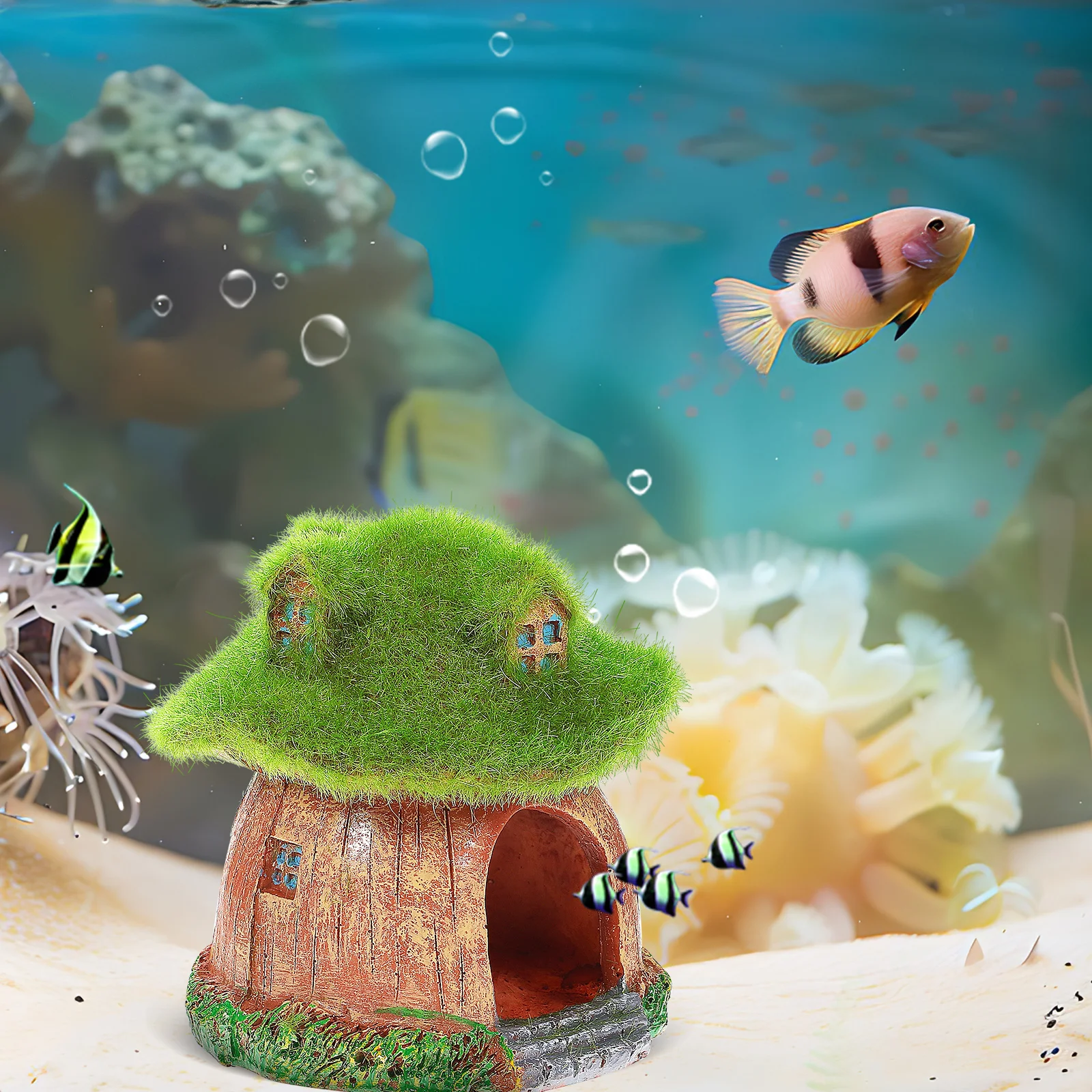 Decorative House Ornaments Fish Tank Hideout Betta Cave Aquarium Decor Resin Realistic Sturdy Compact Pet Supplies
Decorative House Ornaments Fish Tank Hideout Betta Cave Aquarium Decor Resin Realistic Sturdy Compact Pet Supplies