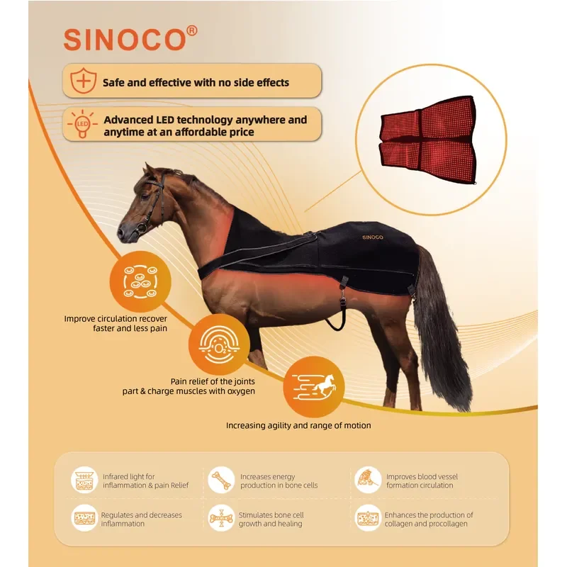 Professional Red Light Therapy Device for Horse Back Pain Non-Invasive Comfort Therapy for Equine Muscles Led Light Therapy
Professional Red Light Therapy Device for Horse Back Pain Non-Invasive Comfort Therapy for Equine Muscles Led Light Therapy