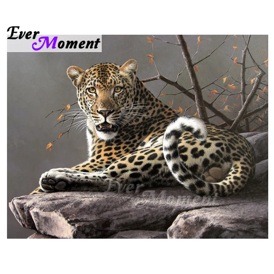 Алмазная картина Ever Moment, леопард на камне, полная квадратная дрель, картина со стразами, алмазная вышивка, украшение для дома ASF1588
Алмазная картина Ever Moment, леопард на камне, полная квадратная дрель, картина со стразами, алмазная вышивка, украшение для дома ASF1588