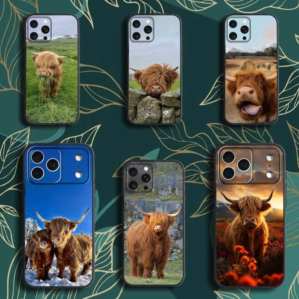 Cute H-Highland C-Cow Phone Case For iPhone 17,16,15,14,13,12,Pro,Max,Plus,E,SE4,Air,Mini Black Soft Box
Cute H-Highland C-Cow Phone Case For iPhone 17,16,15,14,13,12,Pro,Max,Plus,E,SE4,Air,Mini Black Soft Box