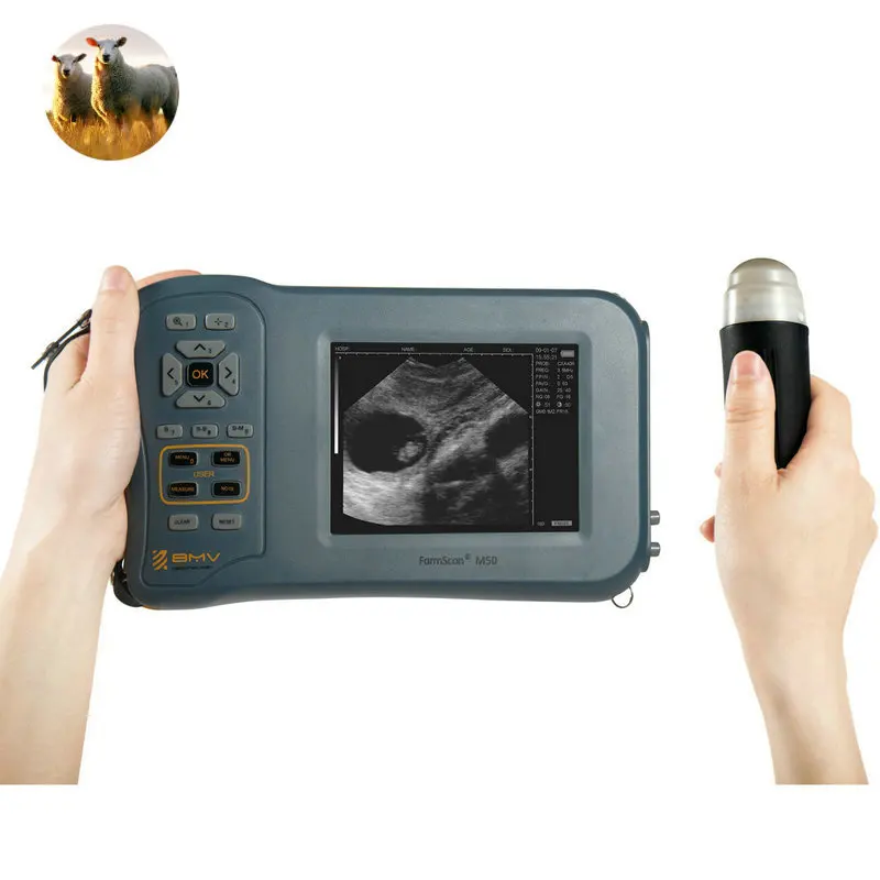 BMV vet animal ovejas ecografo ecografos для cerdos ultrasonido portзапущенный ветеринарный
BMV vet animal ovejas ecografo ecografos для cerdos ultrasonido portзапущенный ветеринарный