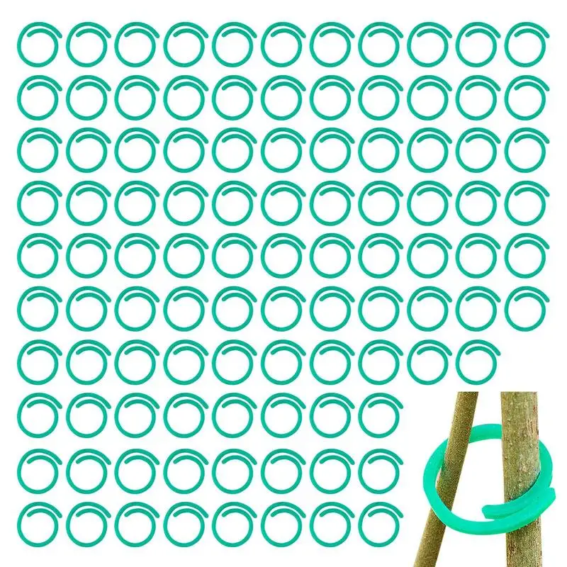 Garden Plant Support Clips 100 Pcs Heavy Duty Vegetables Tomato Vine Flower Clips Tomato Vine Flower Clips Plant Locks Plant
Garden Plant Support Clips 100 Pcs Heavy Duty Vegetables Tomato Vine Flower Clips Tomato Vine Flower Clips Plant Locks Plant